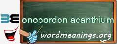 WordMeaning blackboard for onopordon acanthium